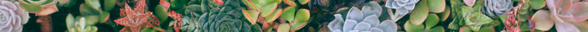 header img